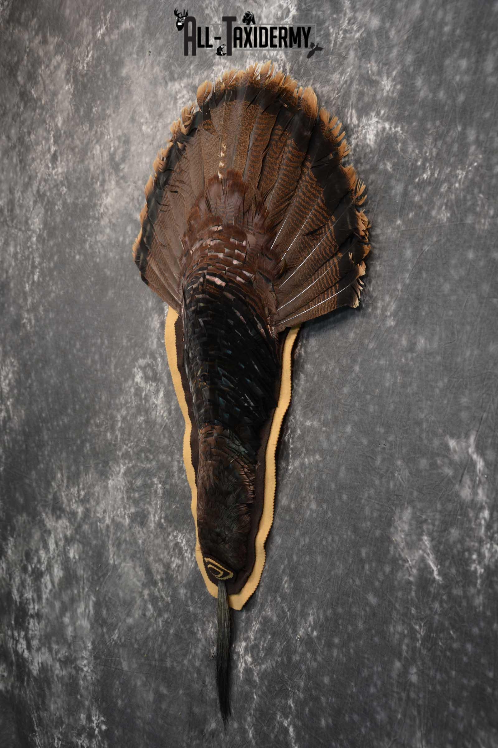 Eastern Turkey Rug SKU 1714 - Image 3