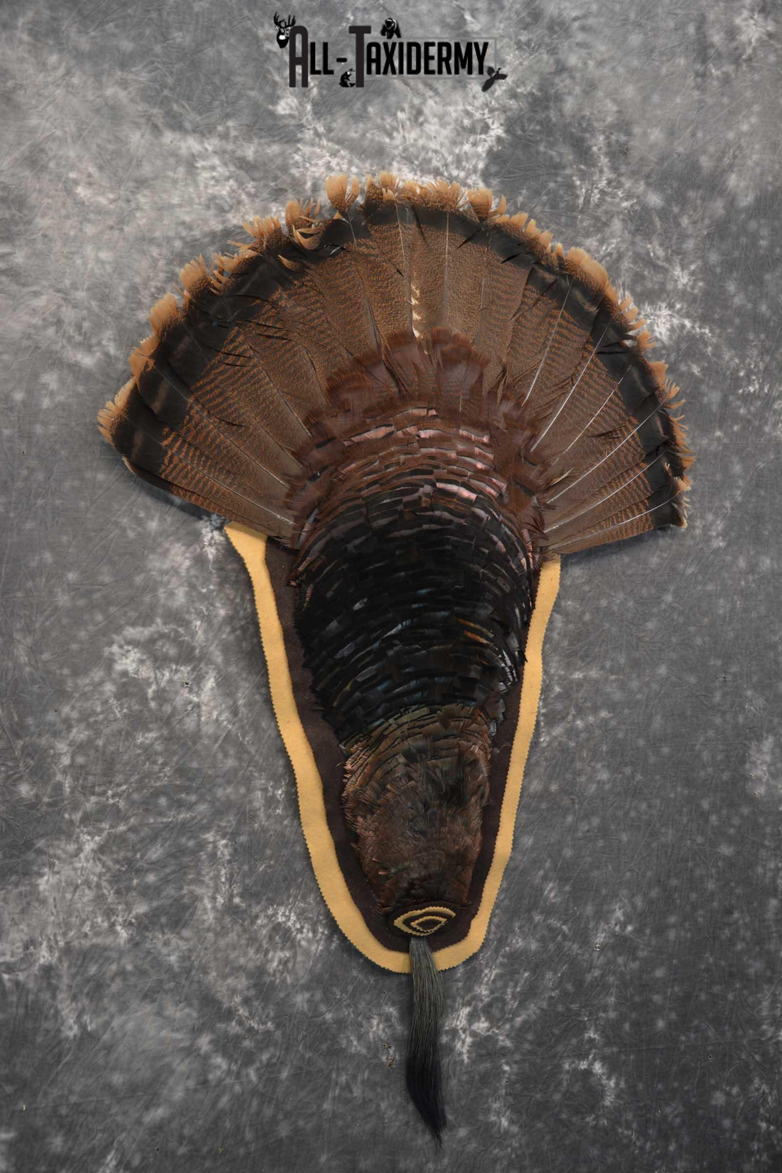 Eastern Turkey Rug SKU 1714 - Image 4