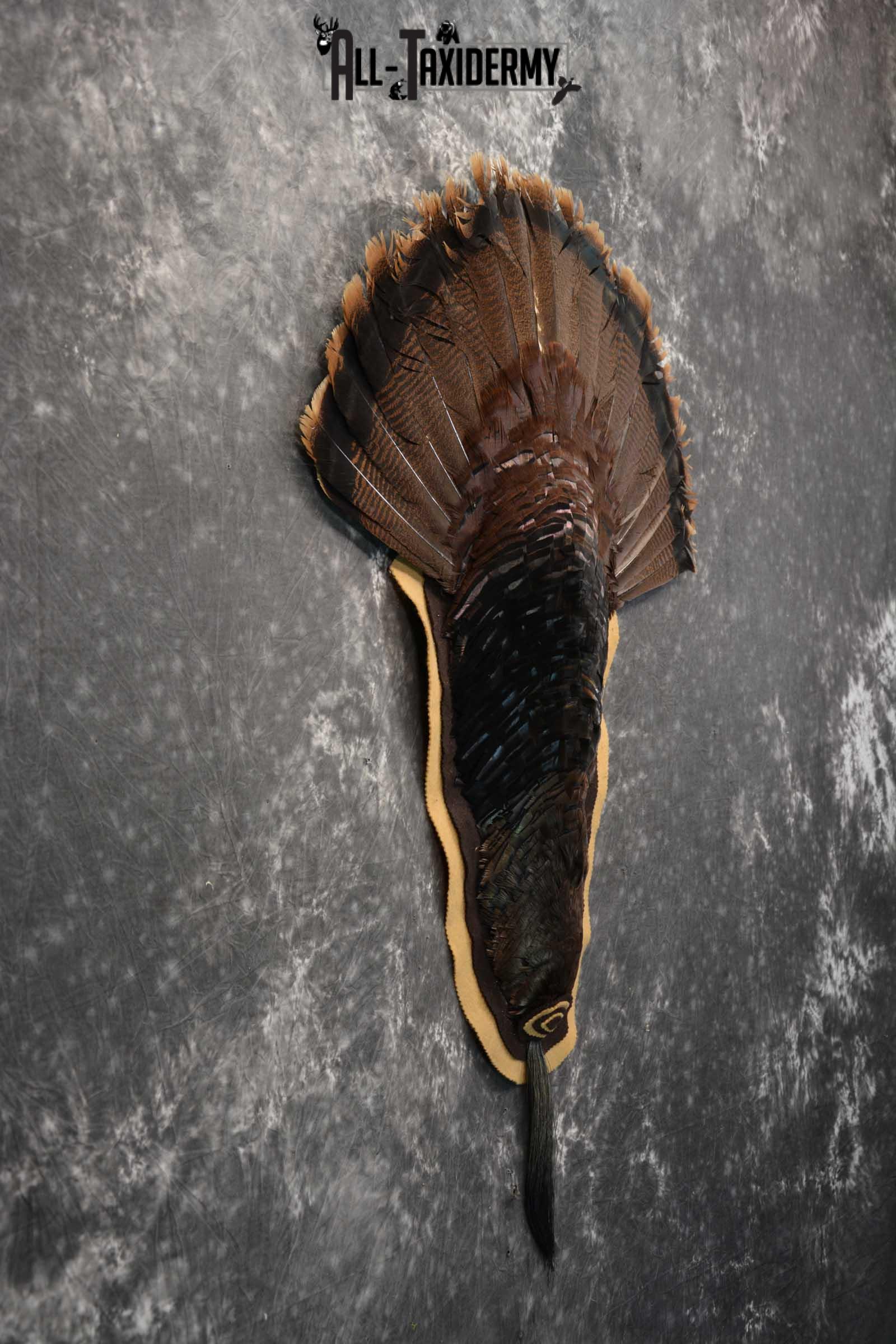 Eastern Turkey Rug SKU 1714 - Image 5