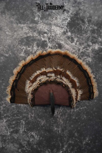 Rio Turkey Fan SKU 1715