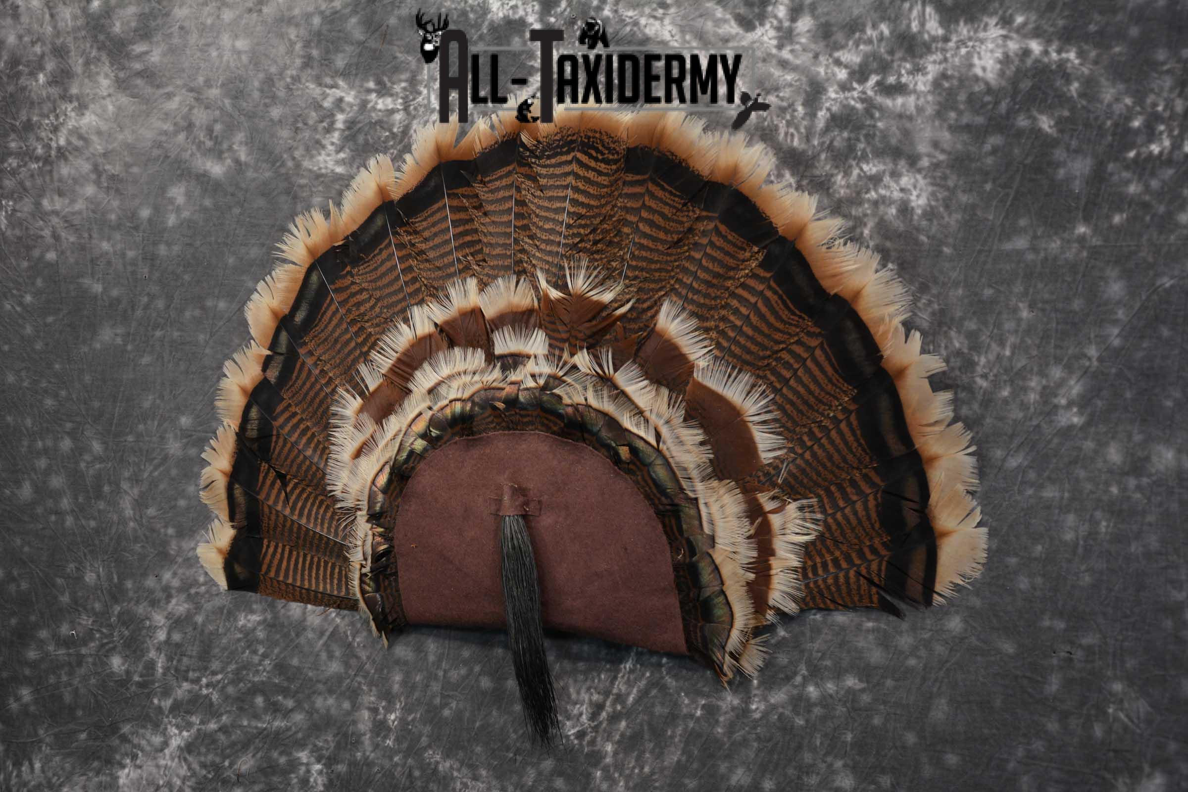 Rio Turkey Fan SKU 1715 - Image 2