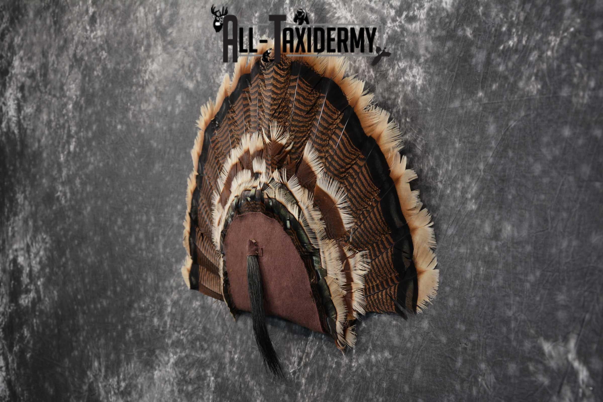 Rio Turkey Fan SKU 1715 - Image 3