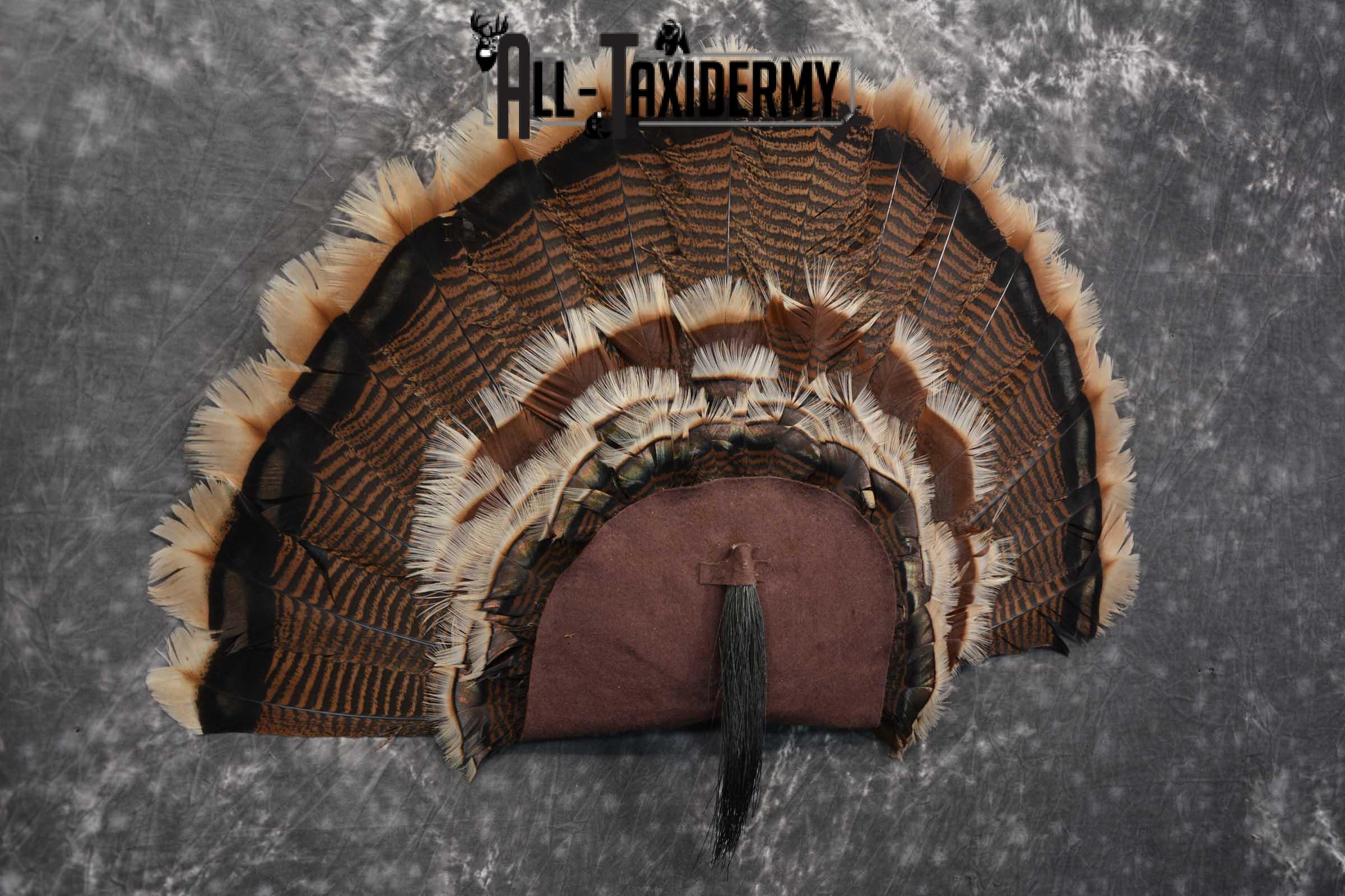 Rio Turkey Fan SKU 1715 - Image 4