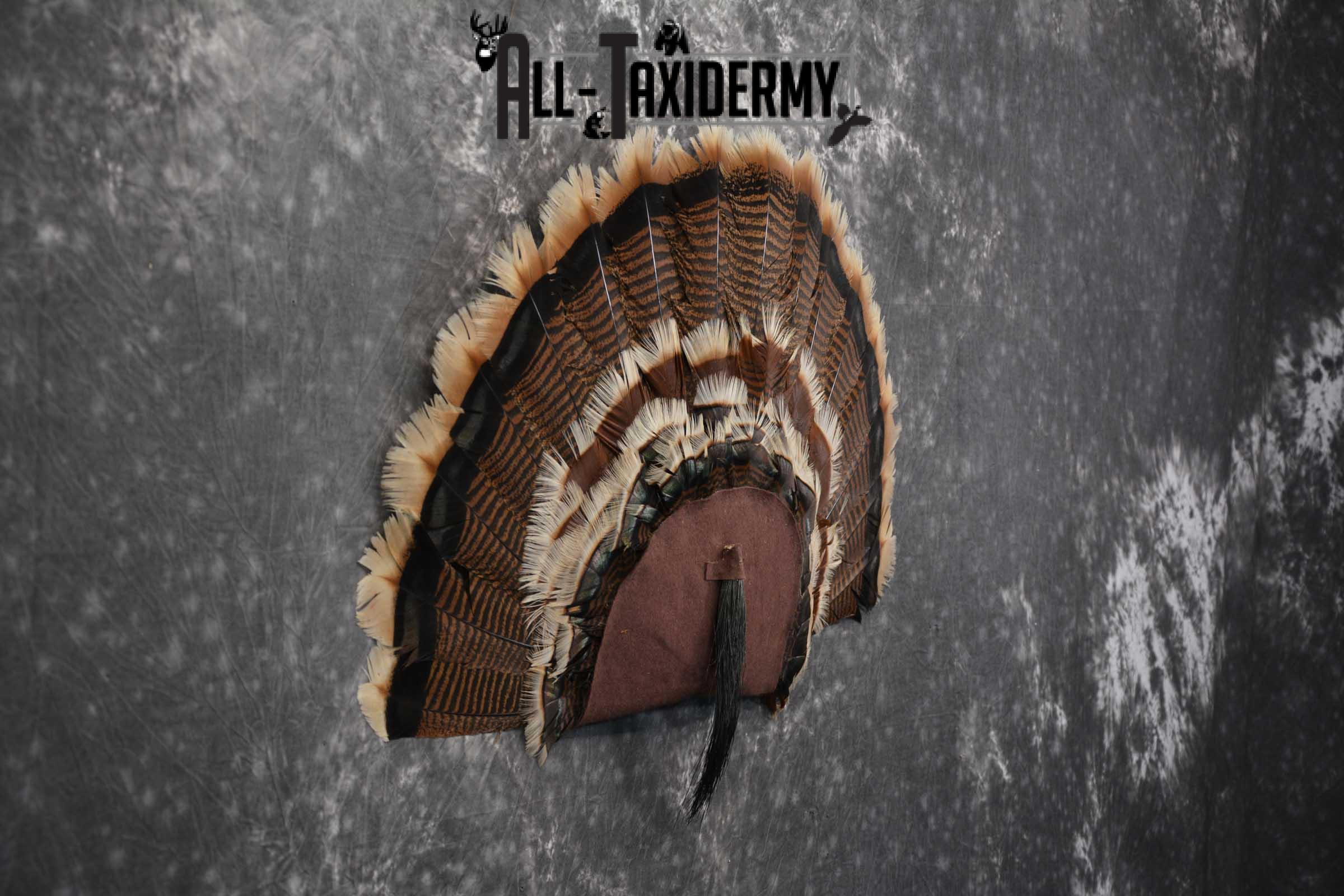 Rio Turkey Fan SKU 1715 - Image 5