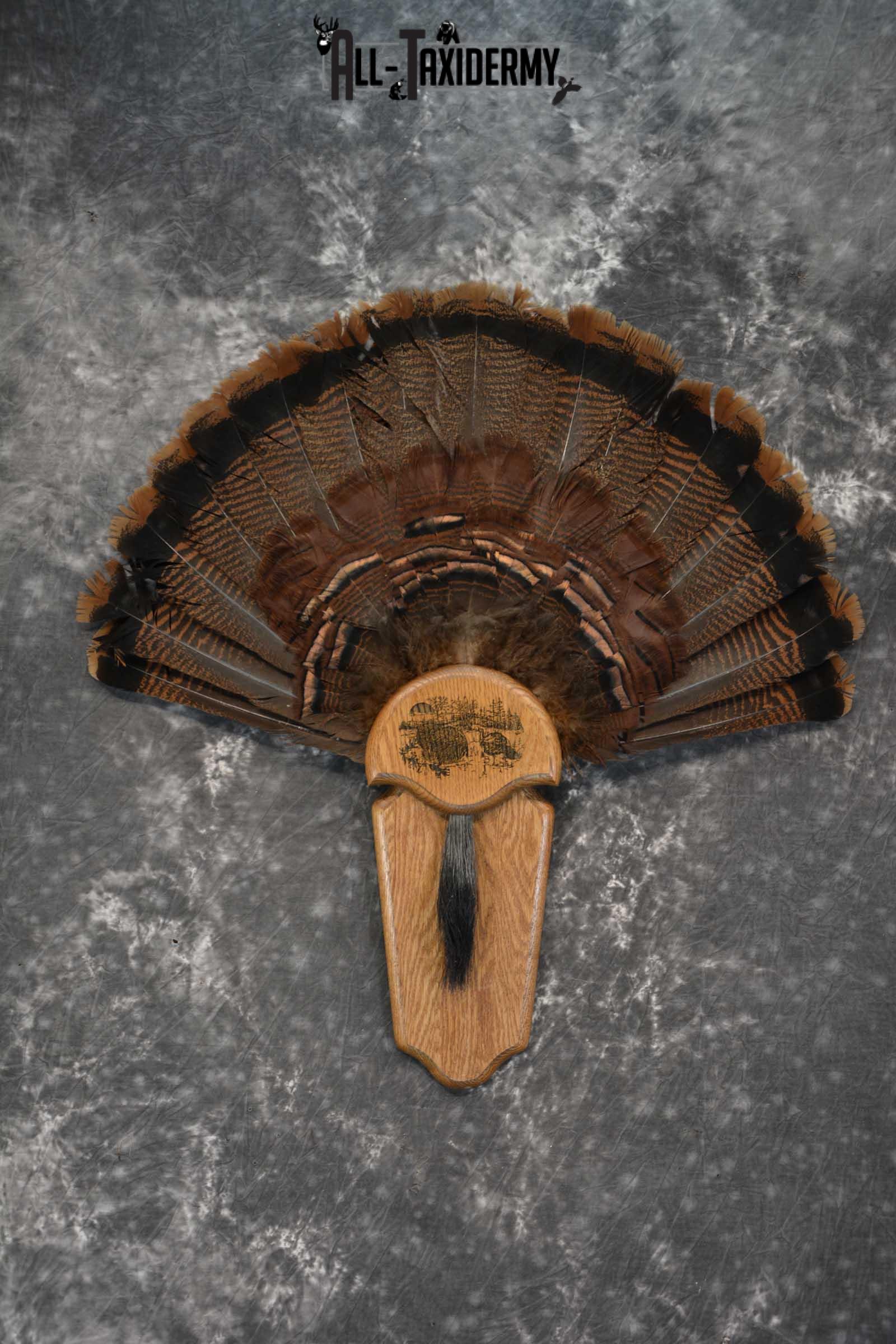 Eastern Turkey Fan SKU 1712