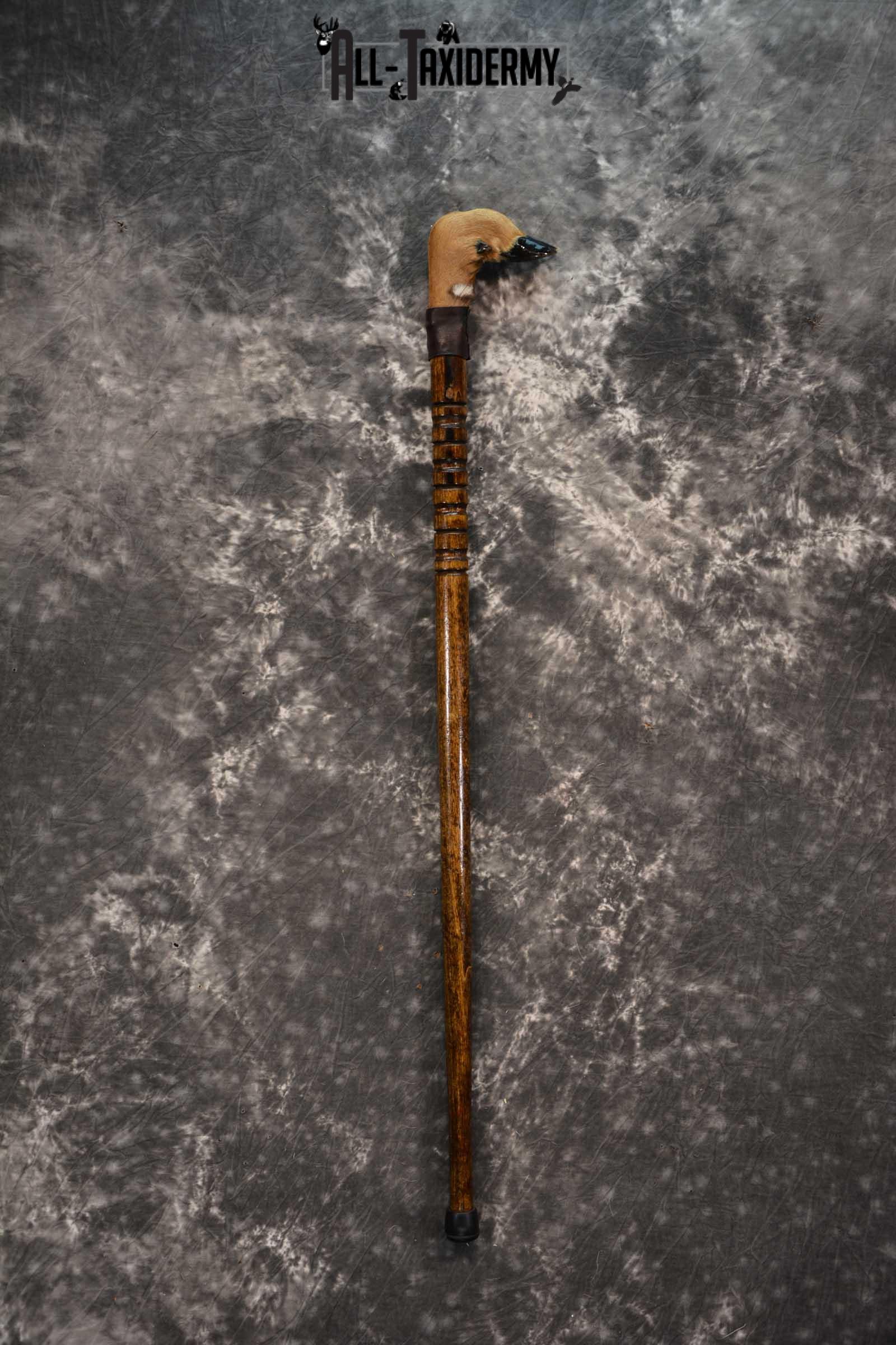 Deer Foot Cane taxidermy for sale SKU 1766.3