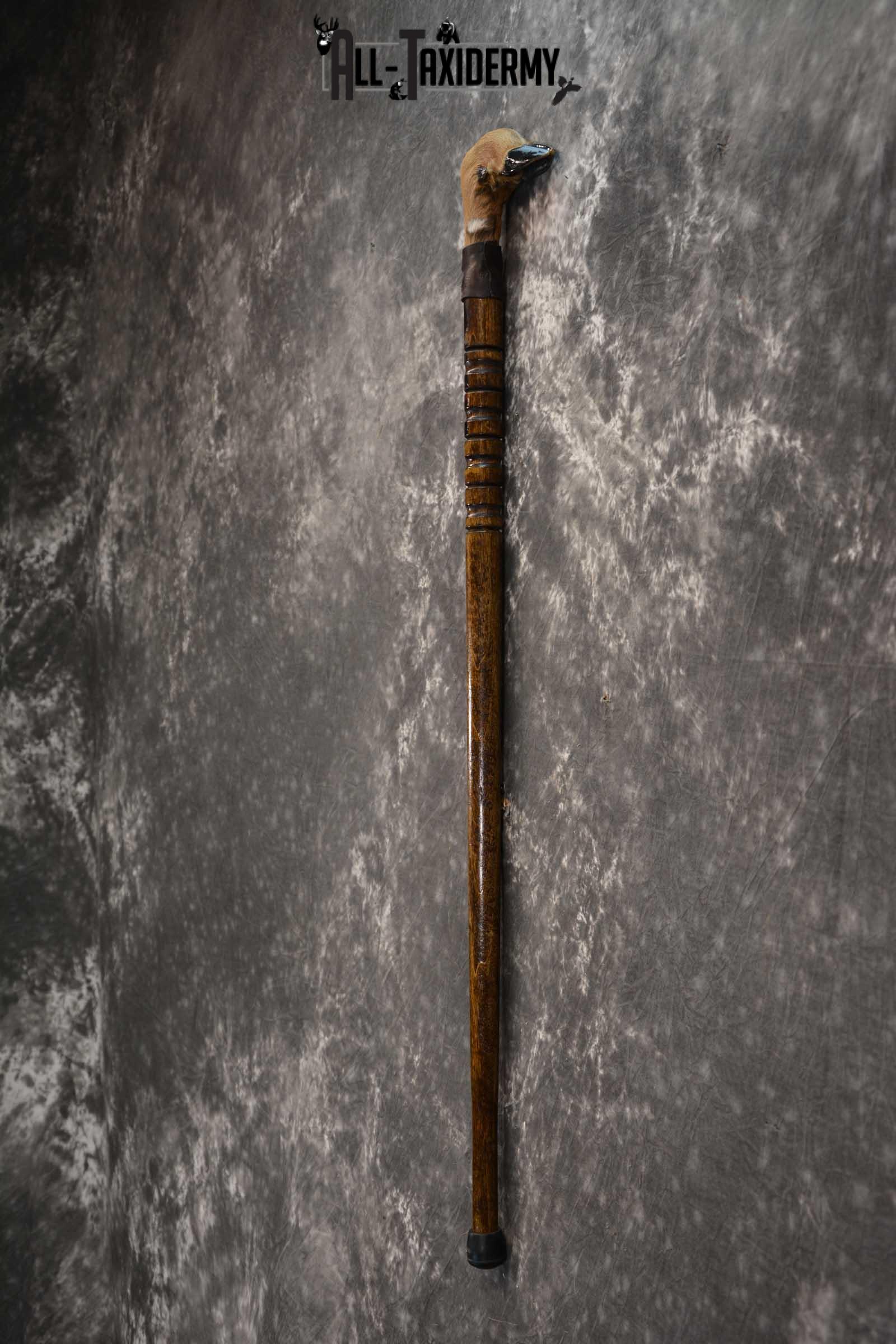 Deer Foot Cane taxidermy for sale SKU 1766.3 - Image 3