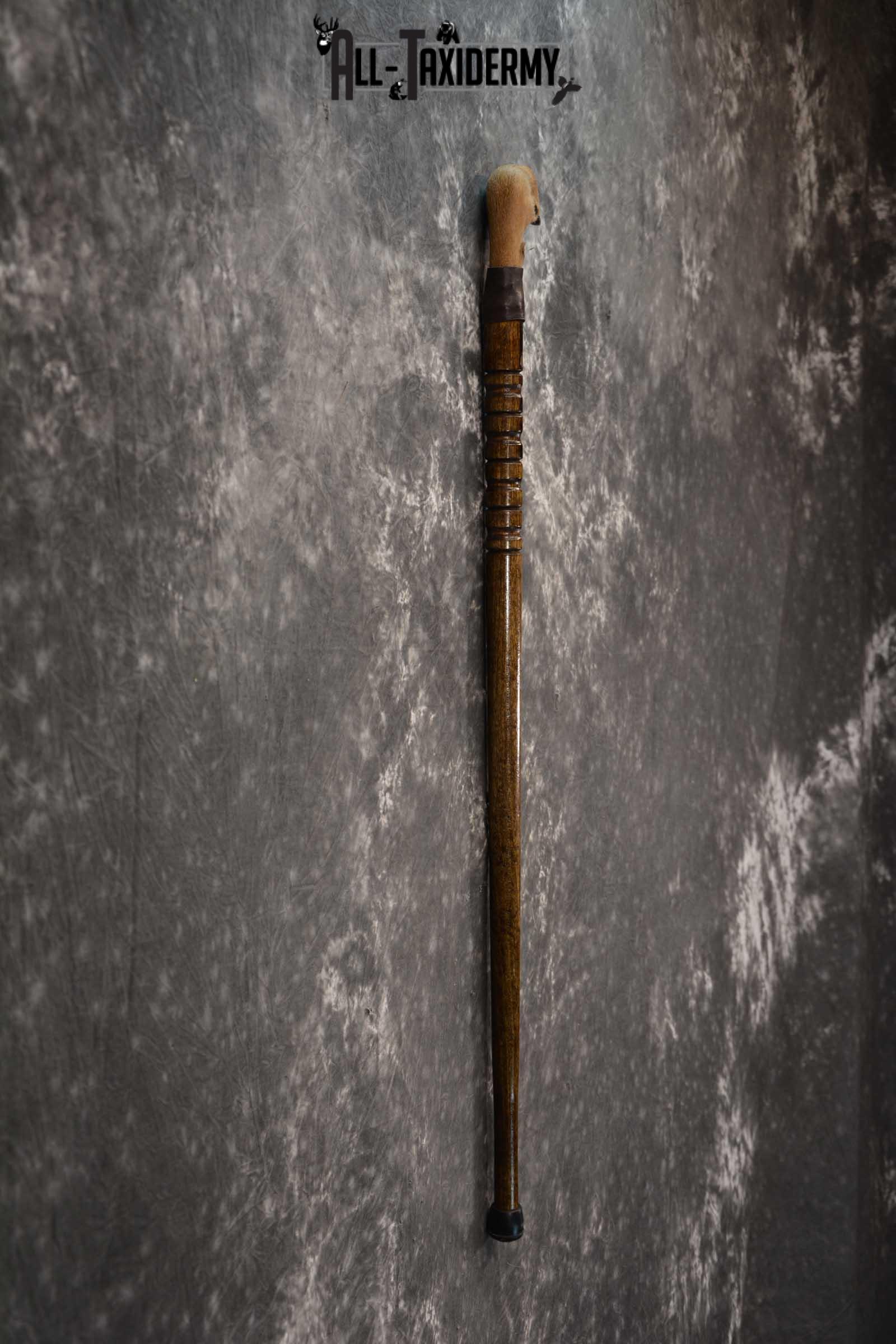 Deer Foot Cane taxidermy for sale SKU 1766.3 - Image 2