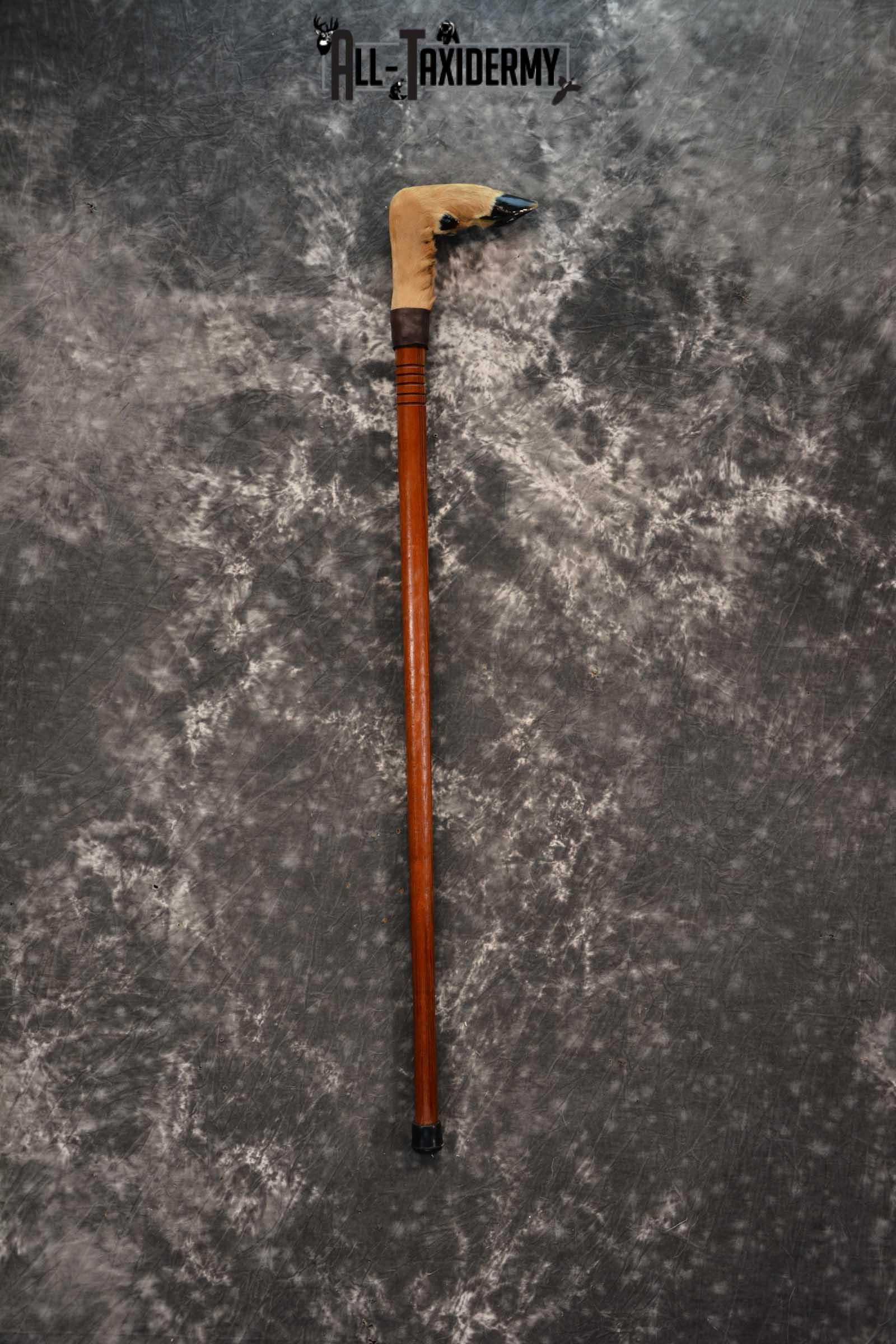 Deer Foot Cane taxidermy for sale SKU 1766.2