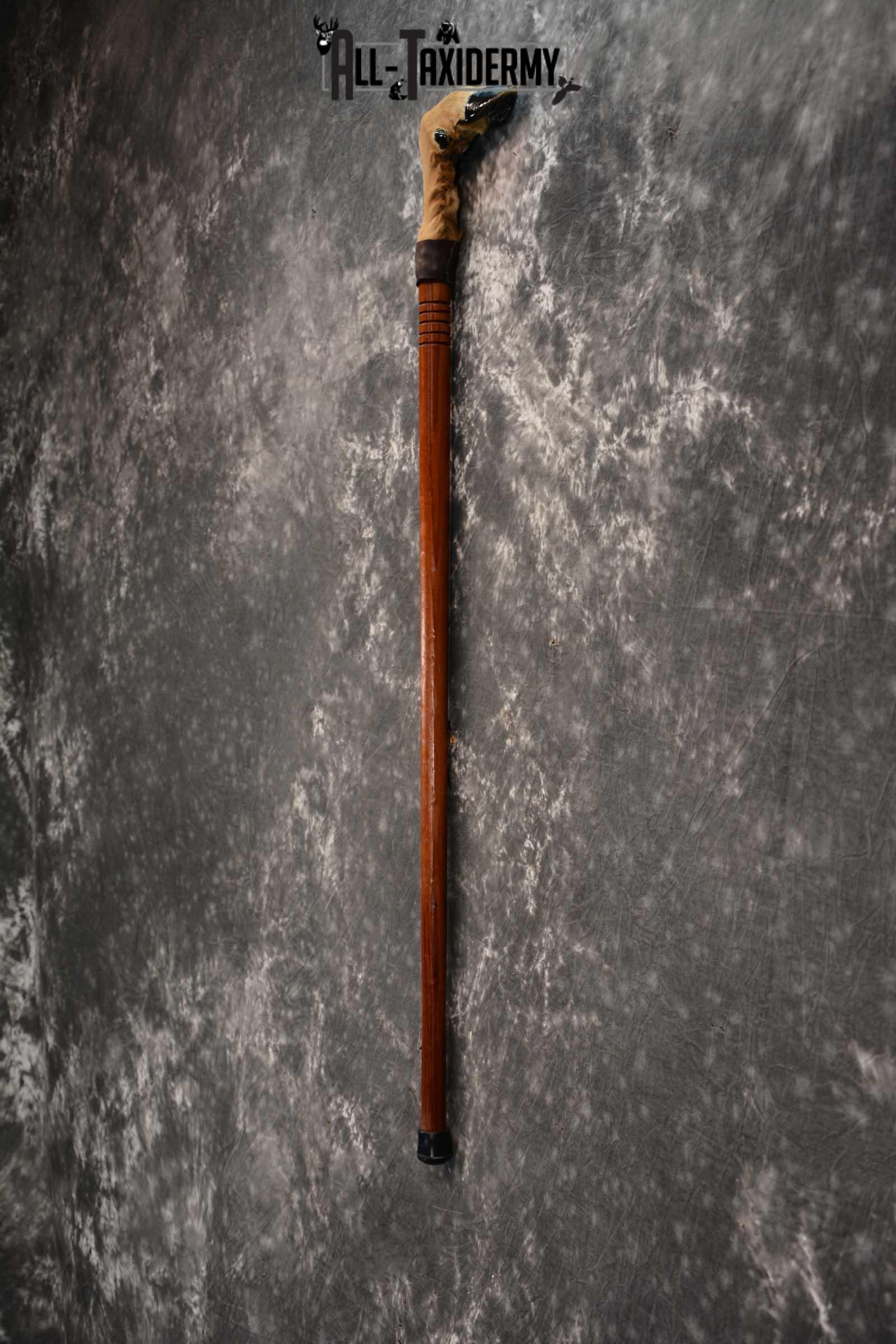 Deer Foot Cane taxidermy for sale SKU 1766.2 - Image 3