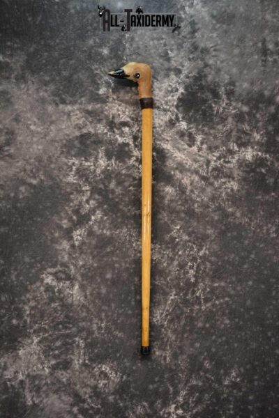 Deer Foot Cane taxidermy for sale SKU 1765.3