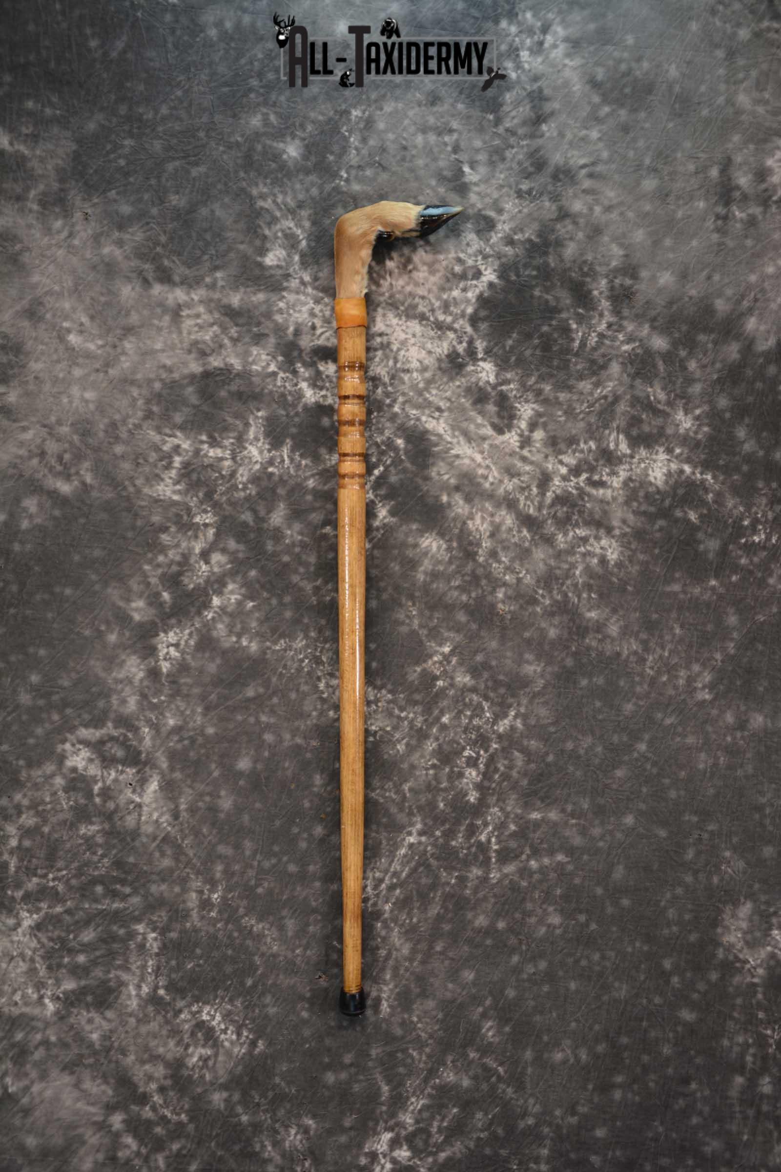 Deer Foot Cane taxidermy for sale SKU 1766.1