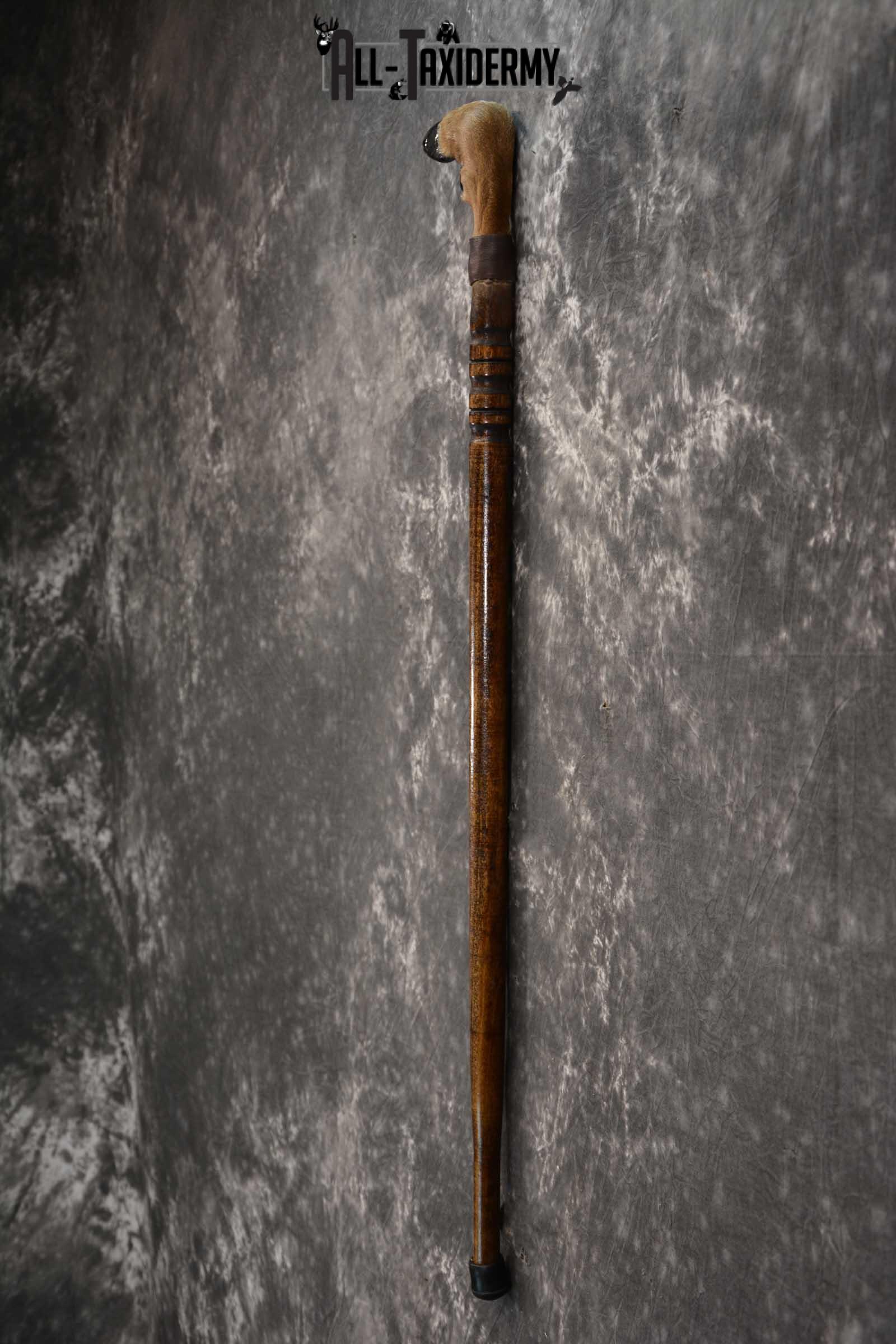 Deer Foot Cane taxidermy for sale SKU 1765.2 - Image 3