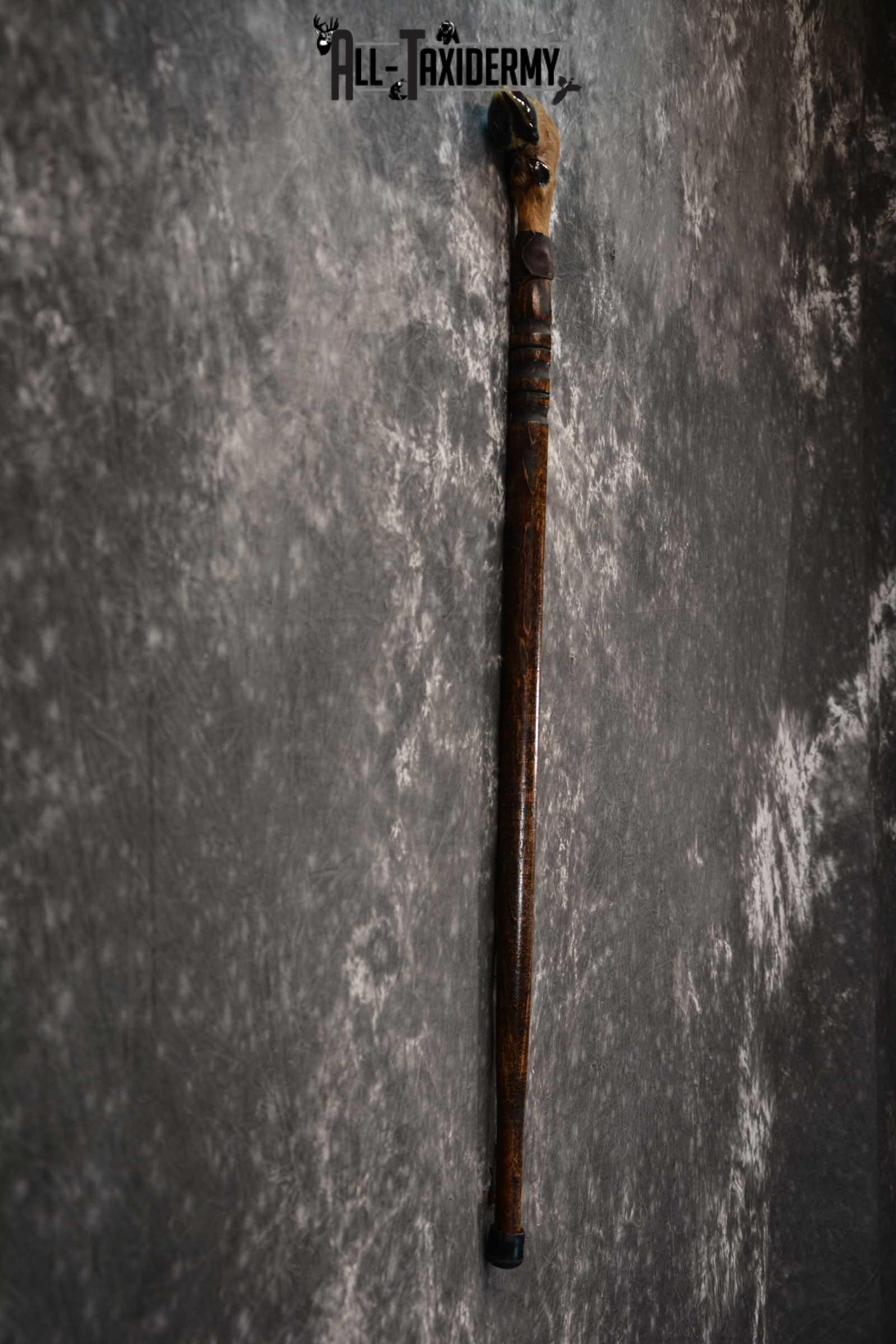 Deer Foot Cane taxidermy for sale SKU 1765.2 - Image 2