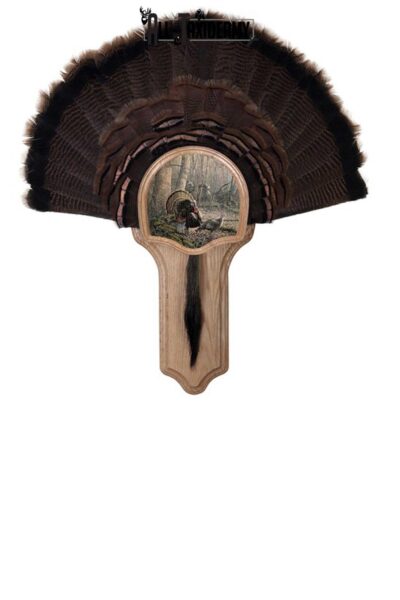 SKU 0100 Deluxe Turkey Display Plaque Kit, Oak Tom Foolery
