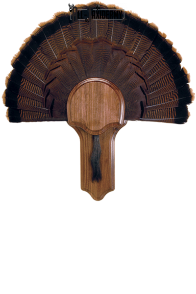 SKU 0116 Deluxe Turkey Display Plaque Kit, Walnut