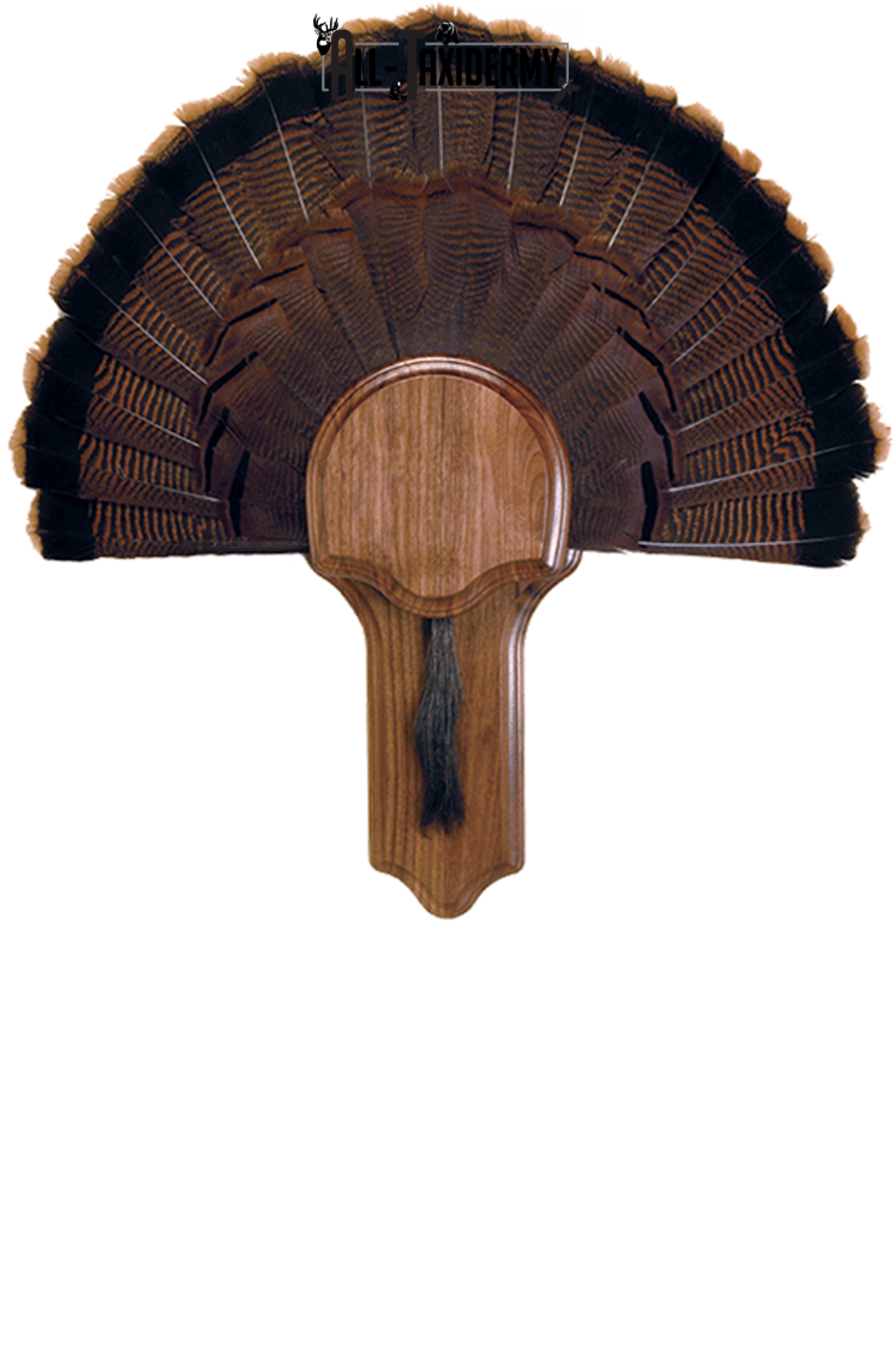 SKU 0116 Deluxe Turkey Display Plaque Kit, Walnut