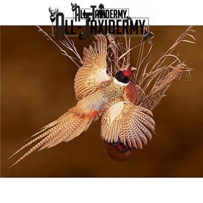 SKU 0141 Walnut Round Base - 12" - Image 31