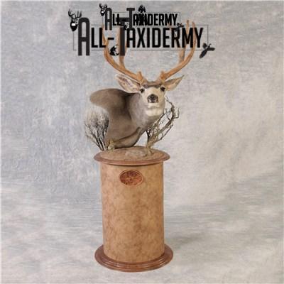 SKU 0141 Walnut Round Base - 12" - Image 30