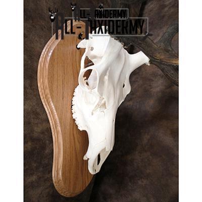 SKU 0134 Oak Euro Plaque - 16" x 9.75" - Image 7