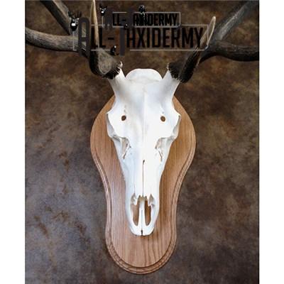 SKU 0134 Oak Euro Plaque - 16" x 9.75" - Image 6