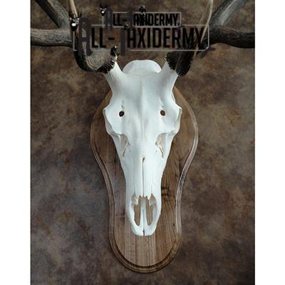 SKU 0134 Oak Euro Plaque - 16" x 9.75" - Image 3