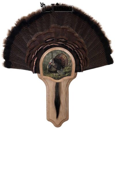 SKU 0108 Deluxe Turkey Display Plaque Kit, Oak King of Spring