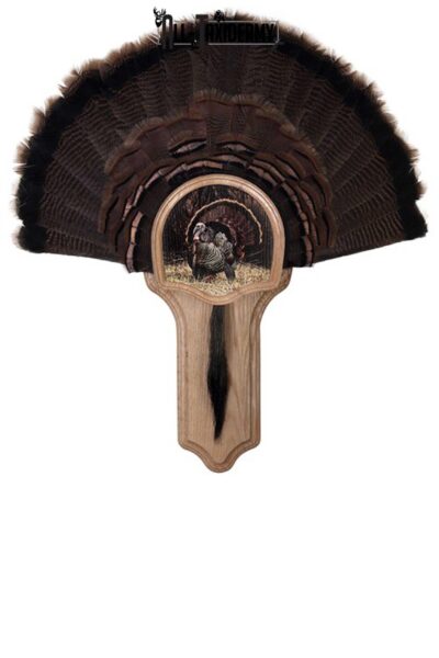 SKU 0109 Deluxe Turkey Display Plaque Kit, Oak Strutter