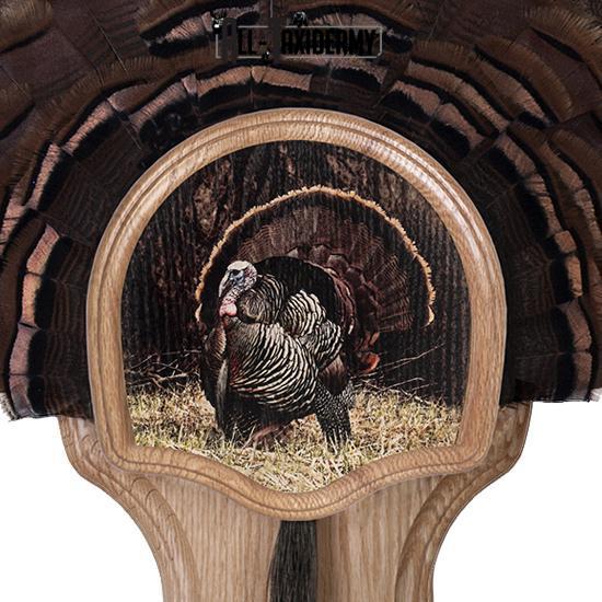 SKU 0109 Deluxe Turkey Display Plaque Kit, Oak Strutter - Image 2