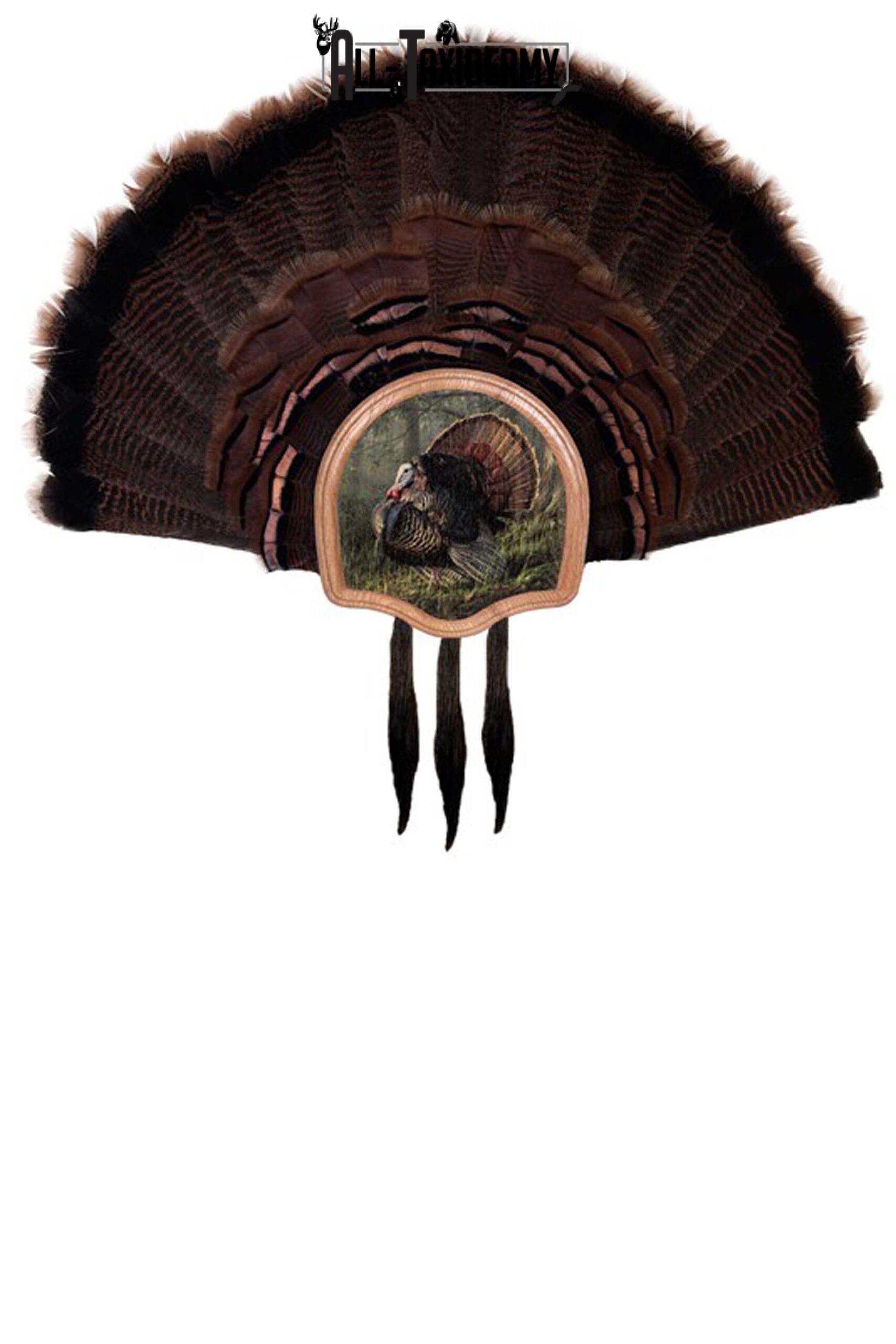 SKU 0102 Three Beard Turkey Display Plaque Kit, Oak King Of Spring