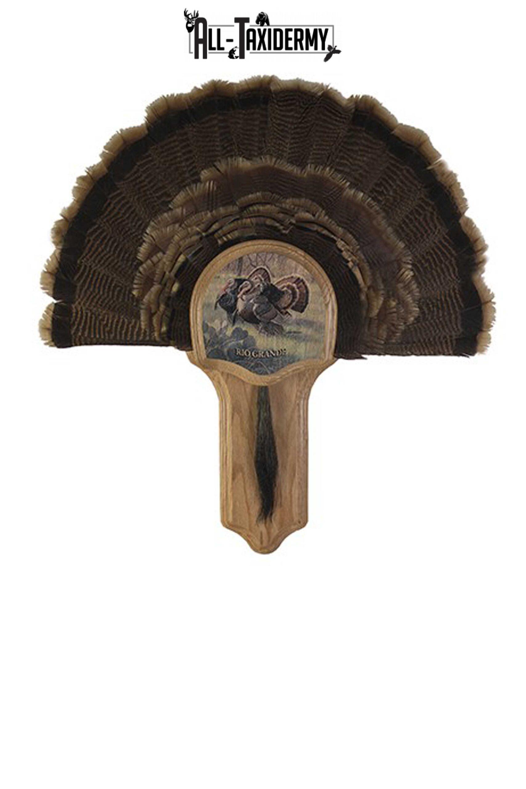 SKU 0104 Deluxe Turkey Display Plaque Kit, Oak Rio Grande