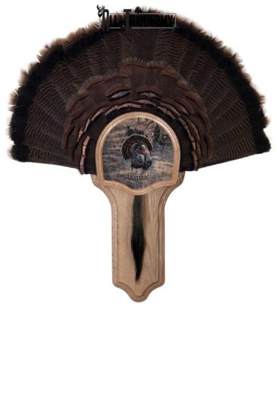 SKU 0105 Deluxe Turkey Display Plaque Kit, Oak Eastern