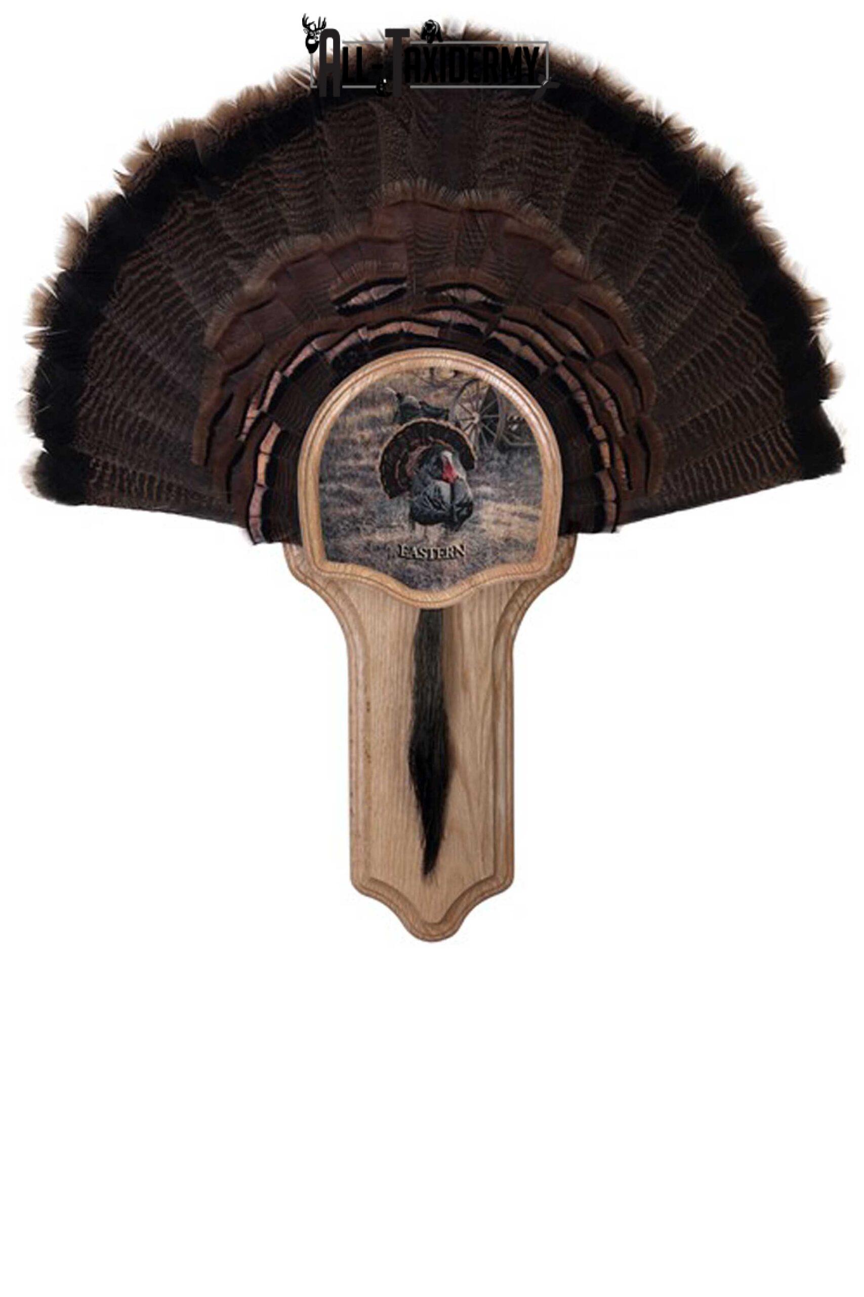 SKU 0105 Deluxe Turkey Display Plaque Kit, Oak Eastern