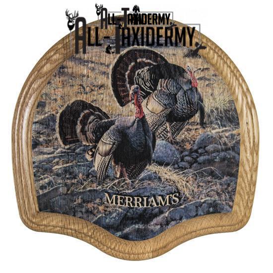 SKU 0142 Deluxe Turkey Display Kit, Oak, Merriam's - Image 2