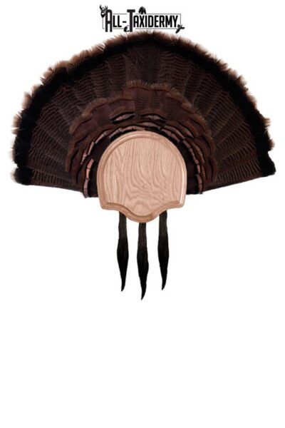 SKU 0103 Three Beard Turkey Display Plaque, Oak