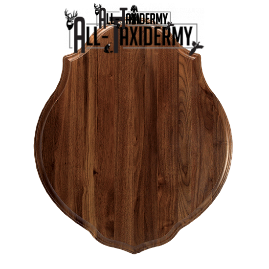 SKU 0132 Walnut Classic Plaque - 20" x 24" - Image 2