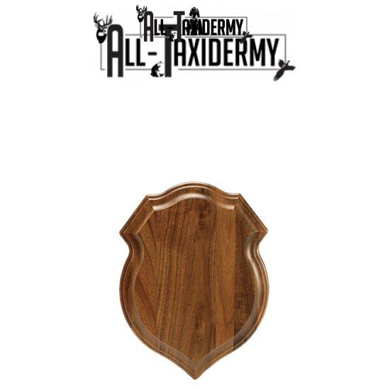 SKU 0127 Walnut Crest Plaque - 9" x 12" - Image 2