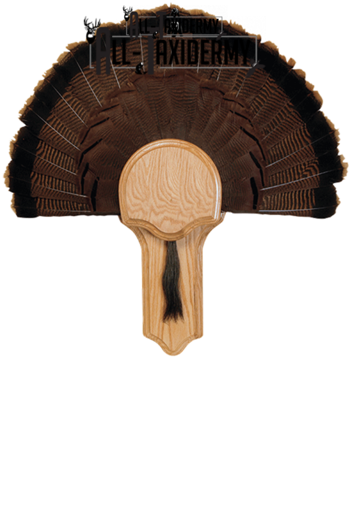 Turkey Display Kits - All Taxidermy