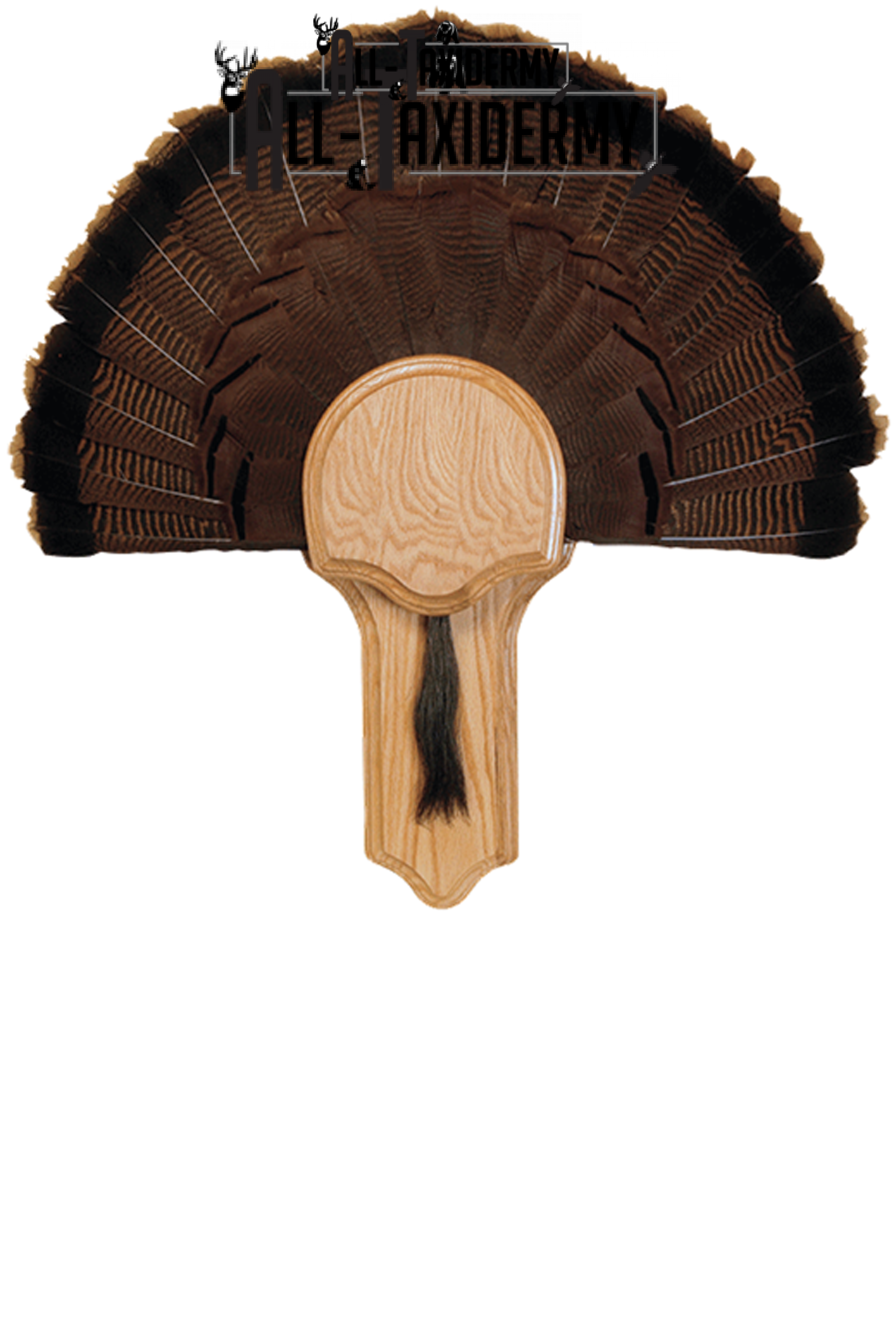 SKU 0143 Deluxe Turkey Display Kit, Oak