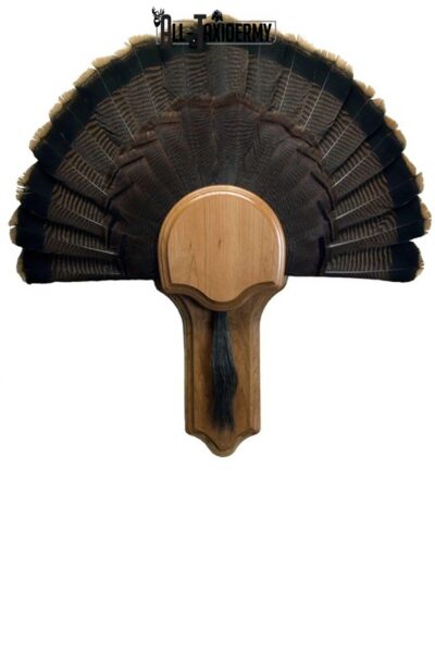 SKU 0117 Deluxe Turkey Display Plaque Kit, Cherry