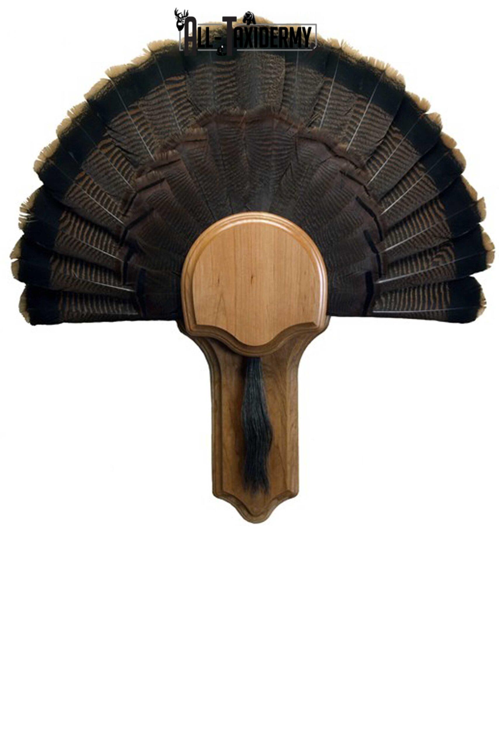 SKU 0117 Deluxe Turkey Display Plaque Kit, Cherry