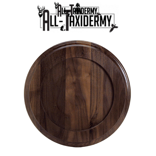 SKU 0141 Walnut Round Base - 12" - Image 2