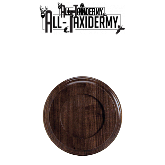 SKU 0140 Walnut Round Base - 8 5/8" - Image 2