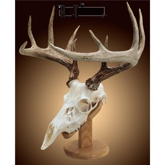 SKU 0115 Solid Oak Skull Mount Plaque Kit - Image 2
