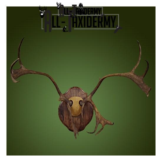 SKU 0130 Walnut Classic Plaque - 9" x 12" - Image 7