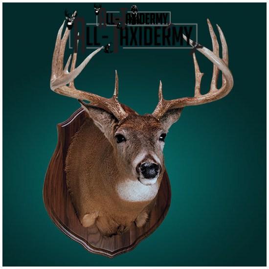 SKU 0130 Walnut Classic Plaque - 9" x 12" - Image 6