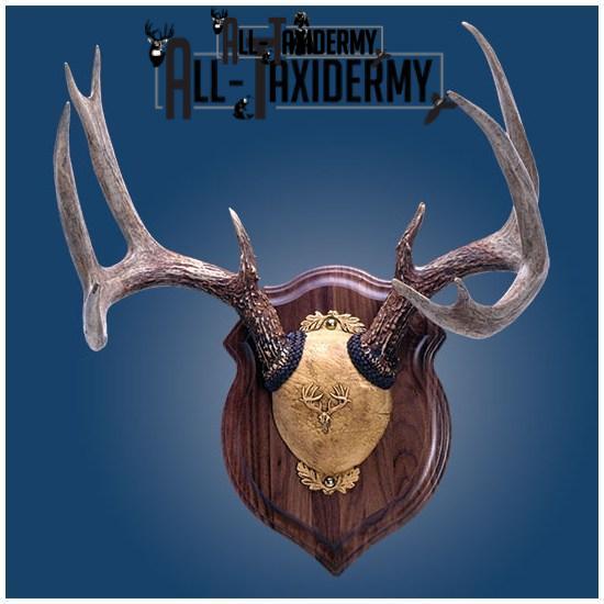 SKU 0127 Walnut Crest Plaque - 9" x 12" - Image 3