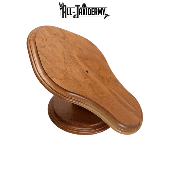 SKU 0121 Cherry Deluxe Euro Skull Display Plaque Kit - Image 3