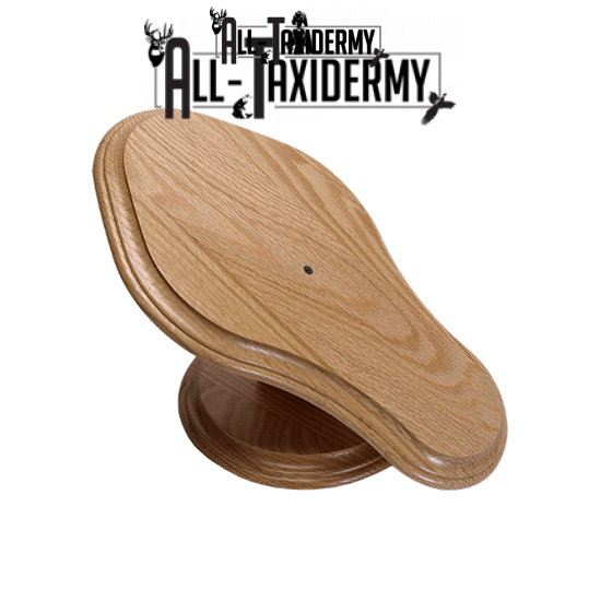 SKU 0122 Oak Deluxe Euro Skull Display Plaque Kit - Image 3