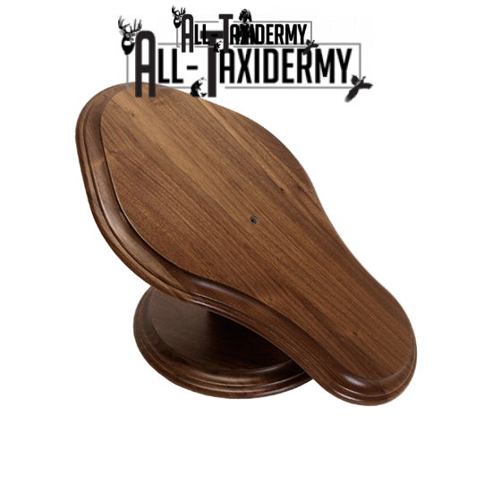 SKU 0123 Walnut Deluxe Euro Skull Display Plaque Kit - Image 3